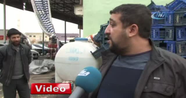 Kaşla göz arasında 3,5 ton lahana çaldılar