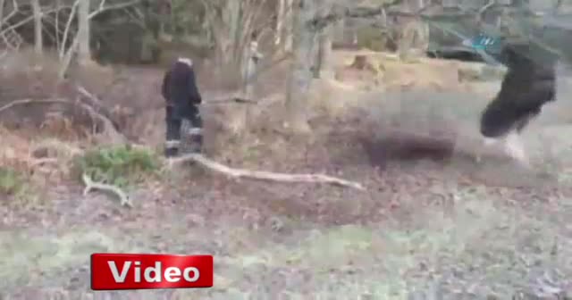Salıncağa dolanan geyik böyle kurtarıldı