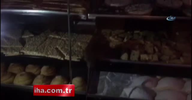 Sosyal medyadaki skandal fare görüntülerinin ardından pastane kapatıldı