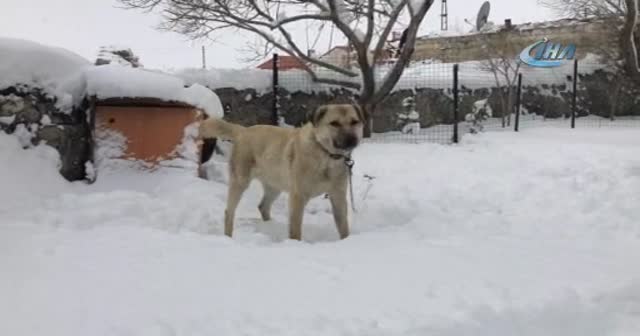 2018’in ilk kar tatili haberi geldi