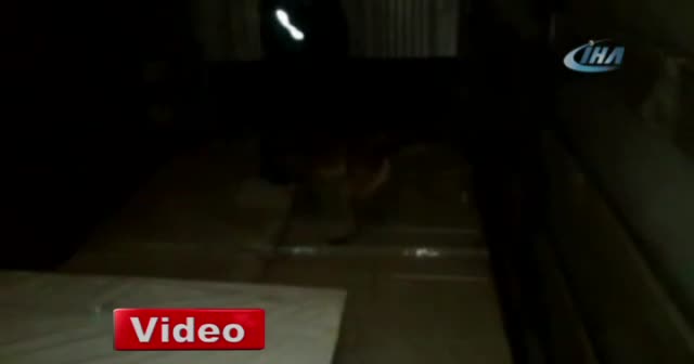 İstanbul’da uyuşturucu operasyonları: 5 kişi gözaltında