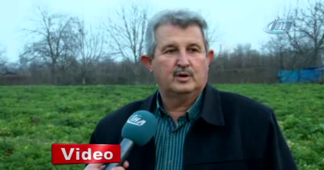 Kereviz para etmeyince tarlada kaldı