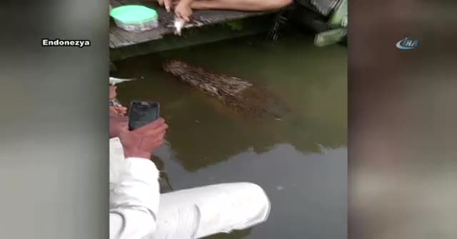 Şaşırtan dostluk!