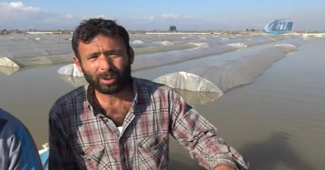 Sulara gömülen sera altındaki ürünlerine tekne ile ulaşabildiler