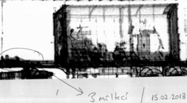 Mültecilerin X- ray cihazındaki fotoğrafları ortaya çıktı