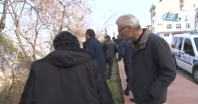 Samsun'da dev domuzu görenler şaşkına döndü