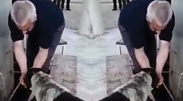 Abdest alan adam, köpeğe eliyle şu içirdi