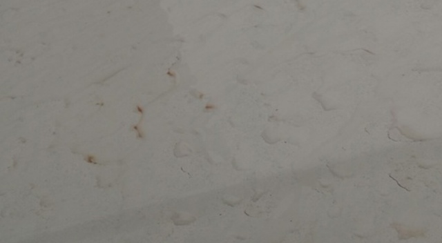 İstanbul'da gökten çamur yağdı
