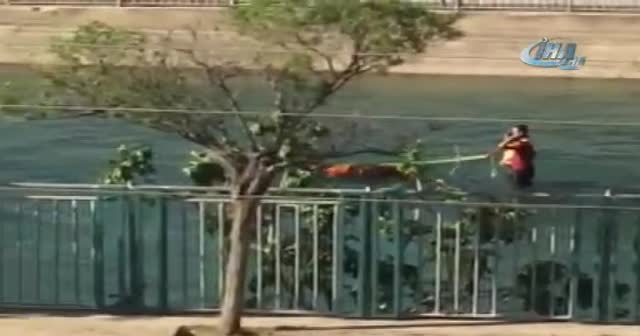 At arabalarını yalnızca karayolunda yasak sanıp, su kanalında kullandılar