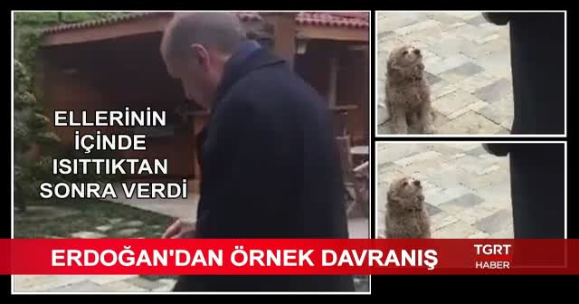 Bakan Albayrak paylaştı: Nisan 2017'ye ait tatlı bir anıyı anımsadık
