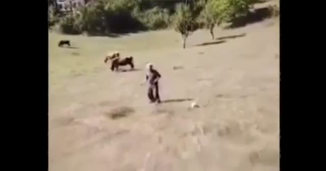 Hayatında hiç drone görmeyen çobanın tepkisi sosyal medyayı kırdı geçirdi!