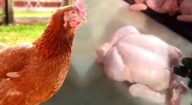Bu görüntü sonrası tavuk yerken bir daha düşünün