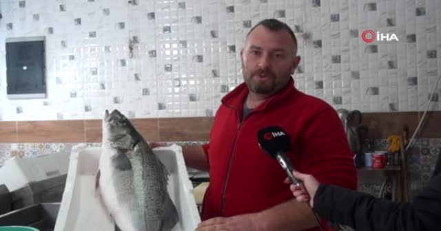 Balıkçılara 8 kiloluk levrek sürprizi