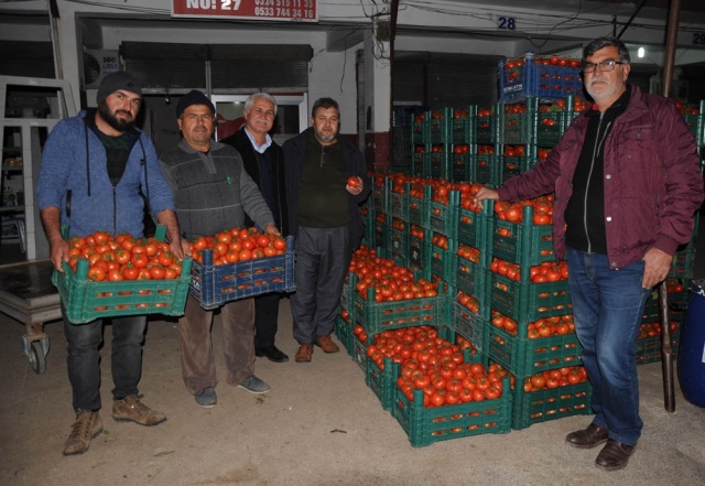 Domateste kış maliyeti yükseltti, fiyatı düşürdü