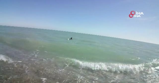 Buse'nin arandığı bölgede sualtı görüş mesafesi 1 metre