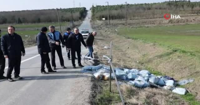 Büyükçekmece'de göl havzasına bırakılan atıklar zehirli çıktı