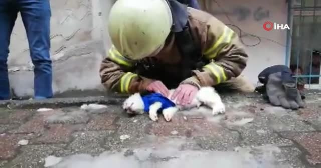 İtfaiyeciden köpeğe kalp masajı ve suni teneffüs