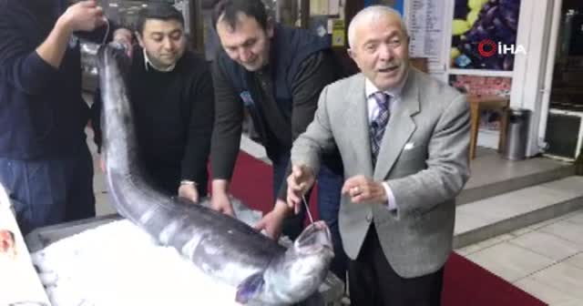 3 metre boyundaki dev yılan balığı görenleri hayrete düşürdü