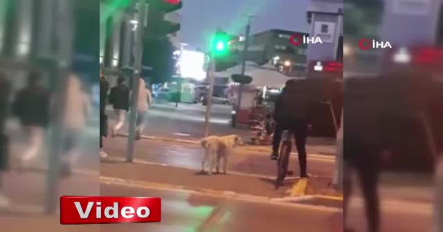 Kırmızı ışıkta insanlar geçti, o bekledi