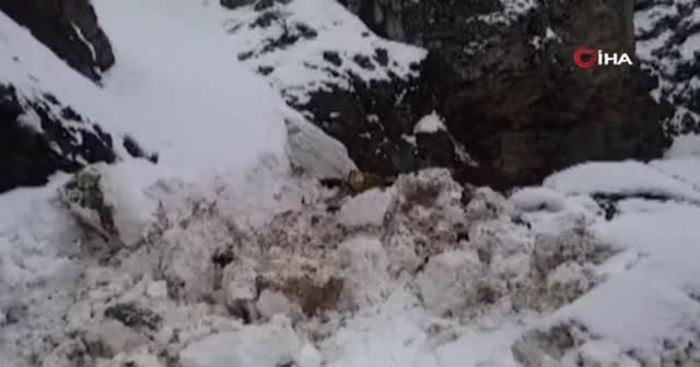 Siirt'te çığ düştü, köy yolu ulaşıma kapandı