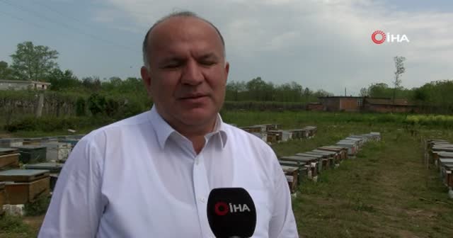 Gramla sağılıyor, üreticilerin yüzünü güldürüyor