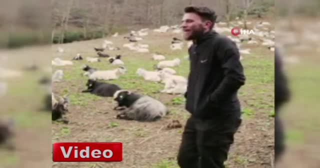 Rizeli gencin keçileriyle güldüren diyaloğu