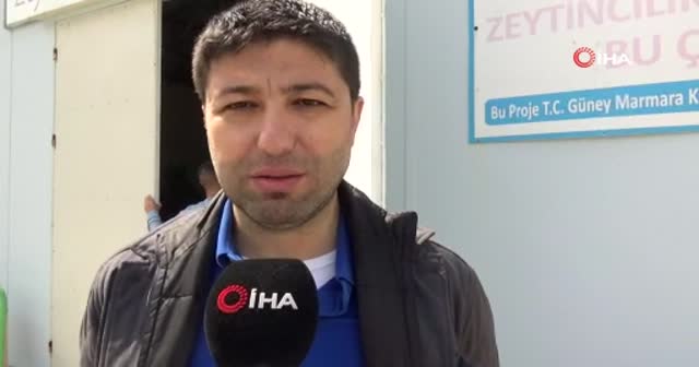 Ses dalgaları ile zeytin yağı üretecekler