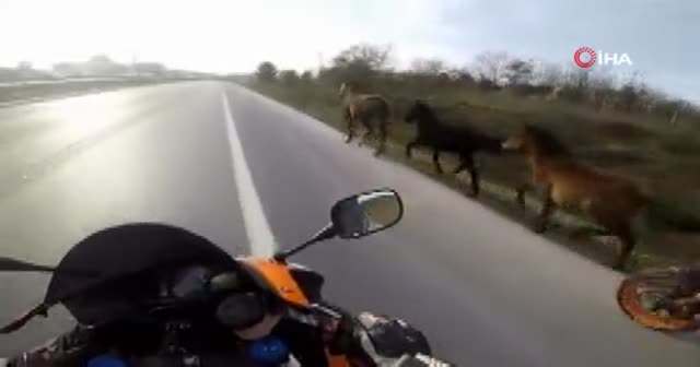 Şile yolunda motosikletli asfalt kovboyları kamerada