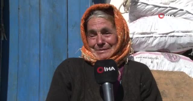 Telef olan ineğinin başında feryat eden kadın ‘acı ve çaresizliğin’ yüzü oldu