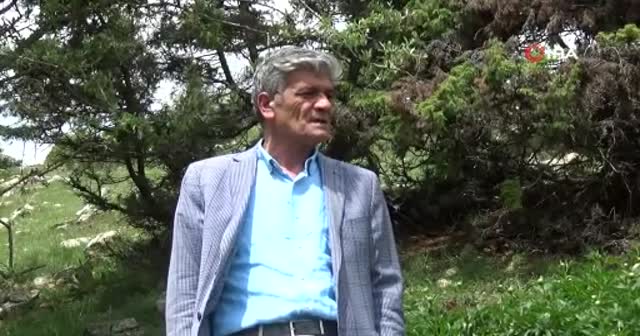‘Ayı Gülü’nü koparana 60 bin 163 lira ceza