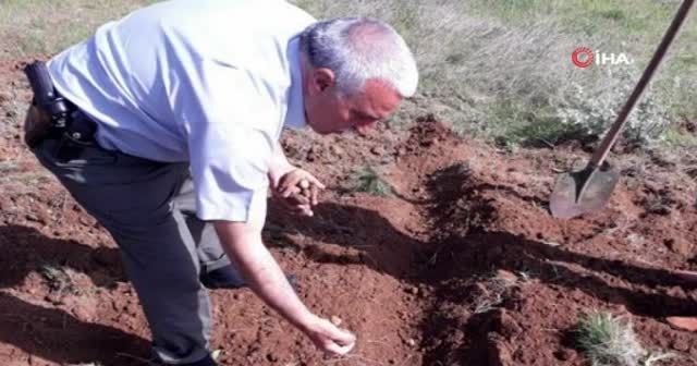 25 kilo salep soğanına 300 bin TL ceza kesildi