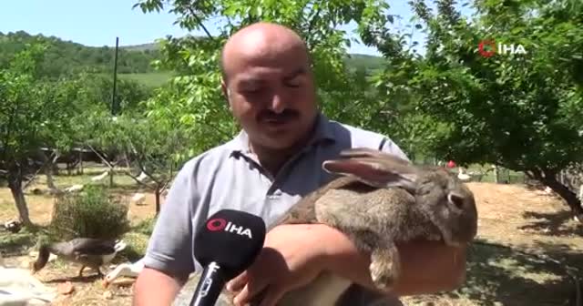 Görenler gözlerine inanamıyor
