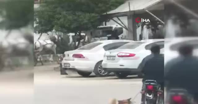 Köpeği motosiklete bağlayıp metrelerce koşturdular