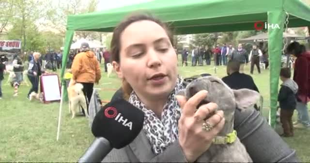 Ölümle burun buruna sevimlilik mücadelesi