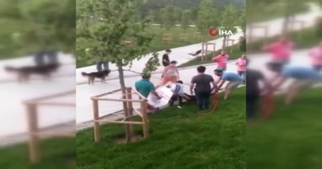 Sultangazi’de pitbull dehşeti