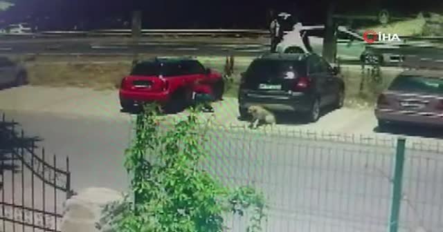 20 saniyede otomobilden hırsızlık