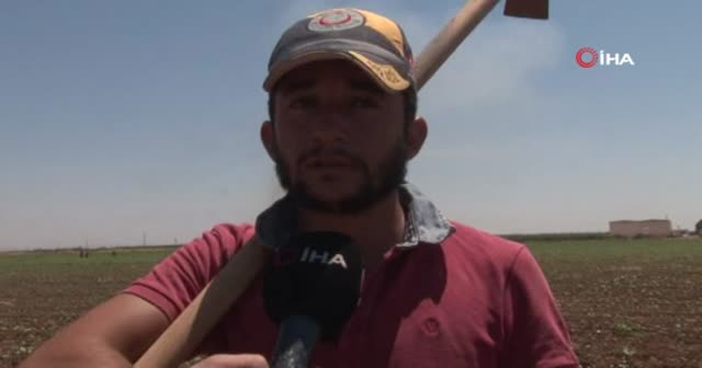 50 lira yevmiye ile 50 derece sıcaklıkta çalışıyorlar
