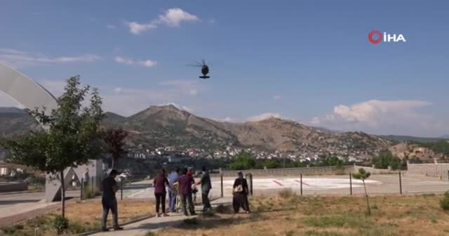 Ayı uçurumdan itti! Jandarma seferber oldu