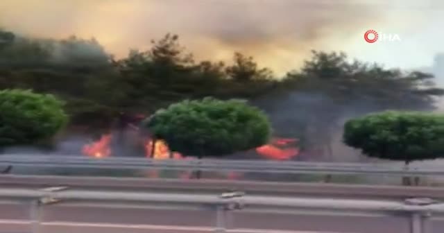 Bayram tatilinde ciğerimiz yandı görseli