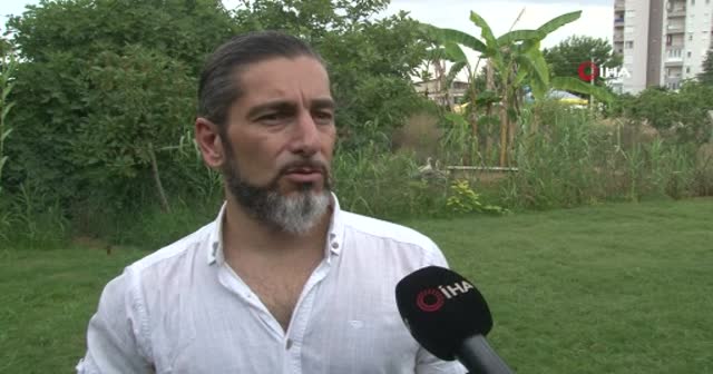 Köpekleri zehirleyen şüphelinin bulunması için para ödülü koydu