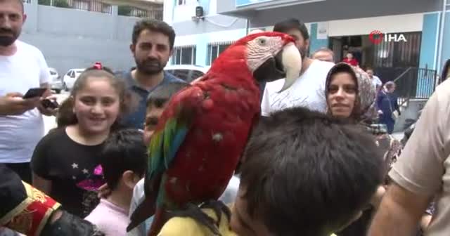 Papağanıyla oy vermeye gelen vatandaş ilgi odağı oldu