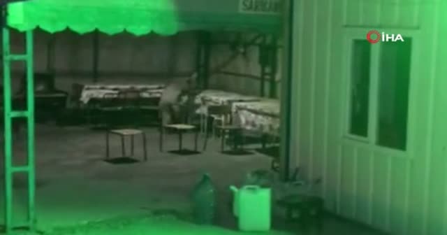 Sarıkamış’ta ayı inşaat bekçisini çıldırttı