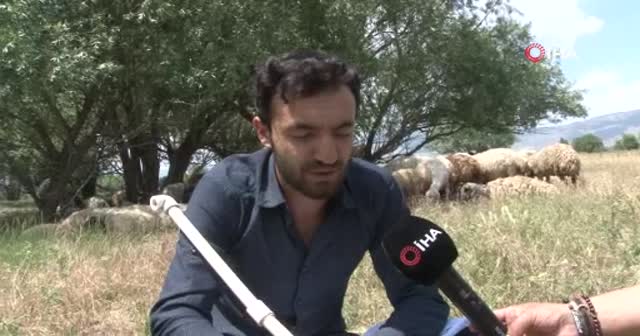 Üniversite sınavından çıktı, soluğu koyunların yanında aldı