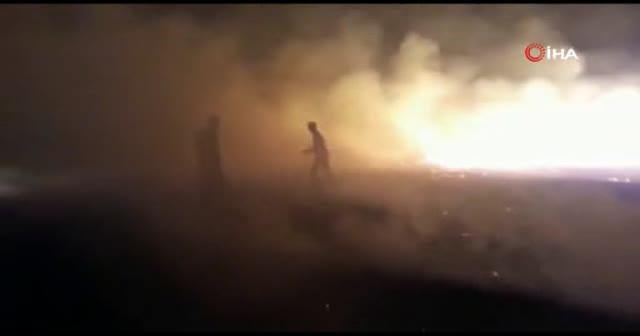 Bingöl’de yangın, 300 dönüm kül oldu