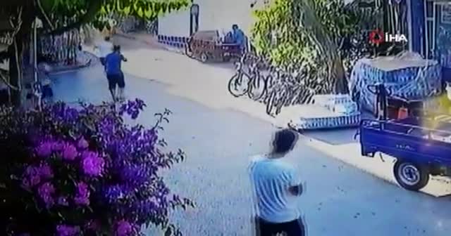 Büyükada’da fayton faciası