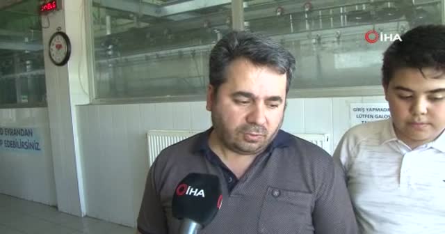 Erzurum’da gergedan böceği bulundu