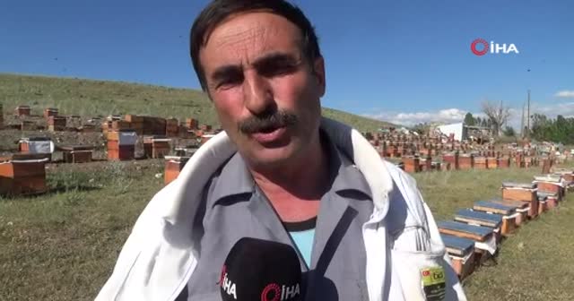 Kanser hastası oğlunu bal ile tedavi eden baba, arıcılığı meslek edindi