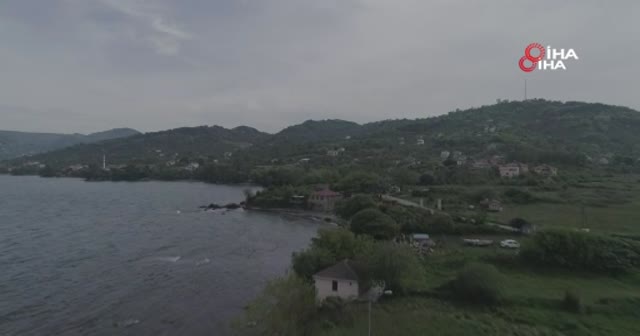 Karadeniz’in altın postu: Yason