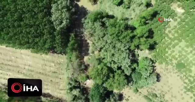 Köpekler ve 'drone'lar ile arama çalışmaları sürüyor