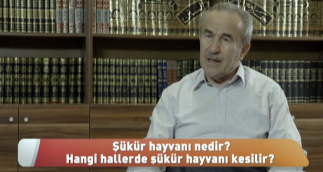 Şükür hayvanı nedir? Hangi hallerde şükür hayvanı kesilir?
